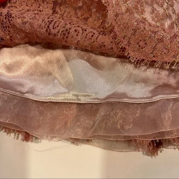 Ann Taylor Pink Lace Sheath Ribbon Dress - Picture 4 of 9